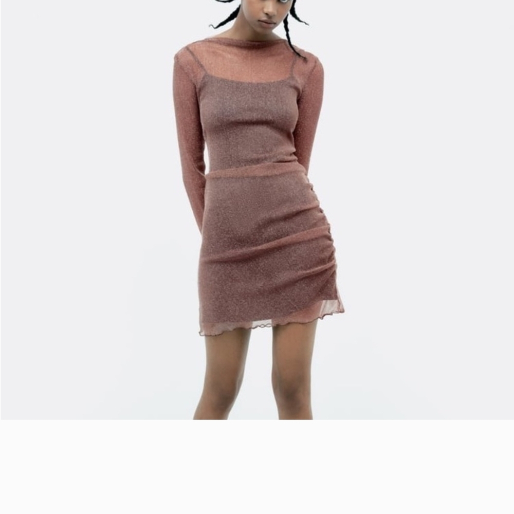 Zara Long Sleeve Sheer Rose Dress